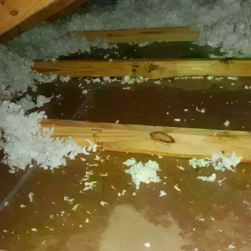 Attic Water Damage in Folcroft, PA